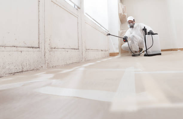 24/7 Emergency Mold Remediation experts in Drewryville, VA